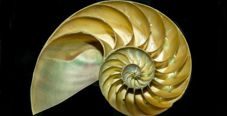 fibonacci perfect
